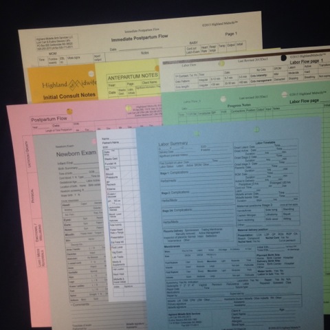 Maternity Care Charting Forms