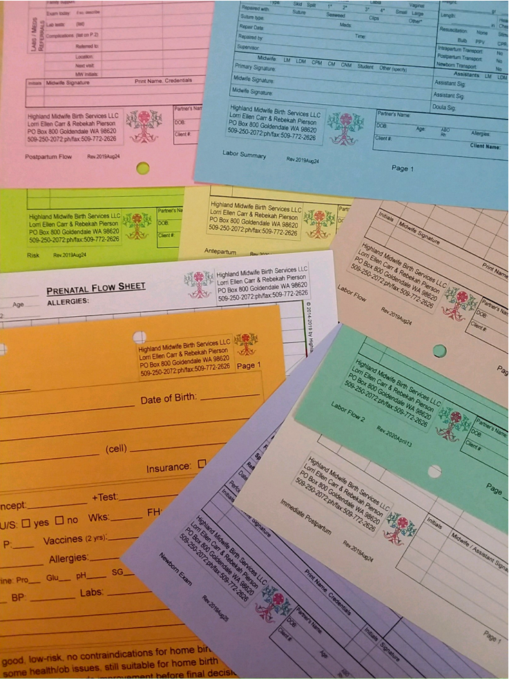 Midwife chart forms download